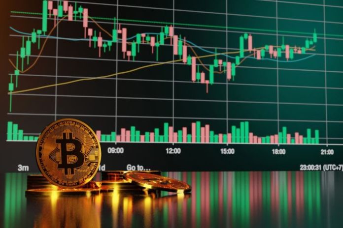 Coinbase vs. Kraken vs. Binance.US: The Ultimate Fee Comparison